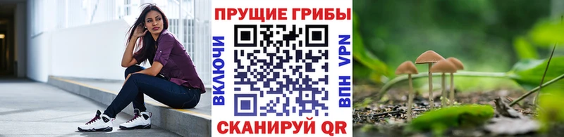 цена   Белинский  Галлюциногенные грибы прущие грибы 